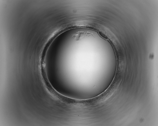 X0000102540530200808151645