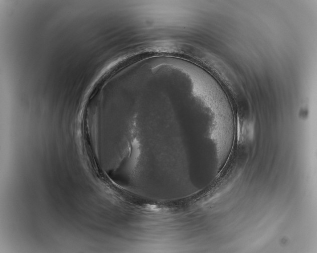 X0000102540531200808151645