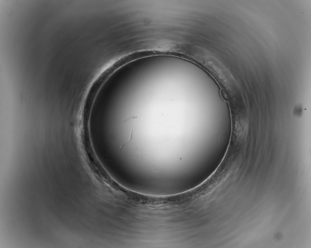 X0000102540532200808151645