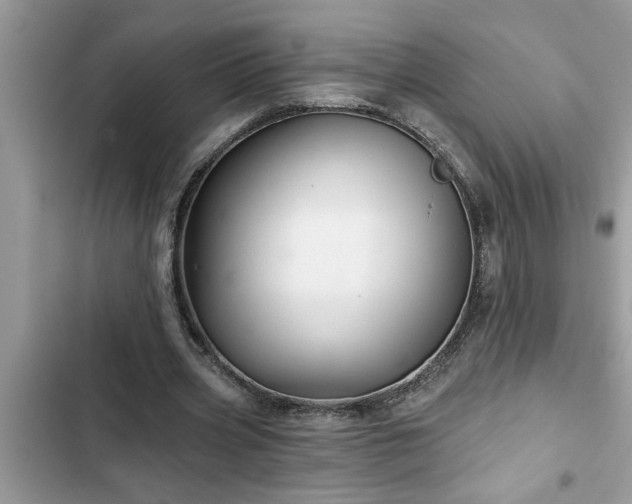 X0000102540533200808151645