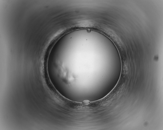 X0000102540535200808151645