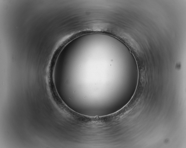 X0000102540536200808151645