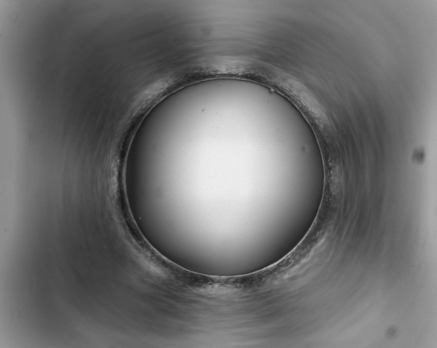 X0000102540537200808151645