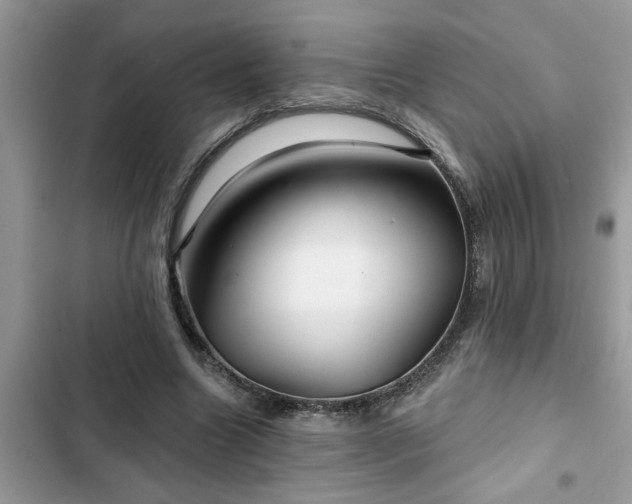 X0000102540538200808151645