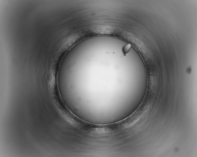 X0000102540541200808151645