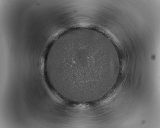 X0000102540542200808151645