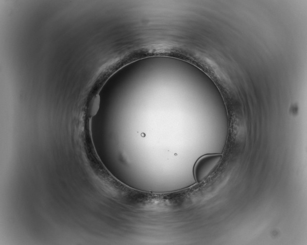 X0000102540543200808151645