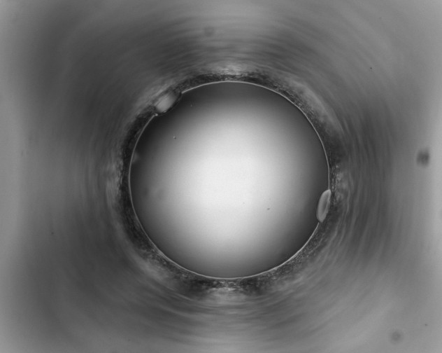 X0000102540544200808151645
