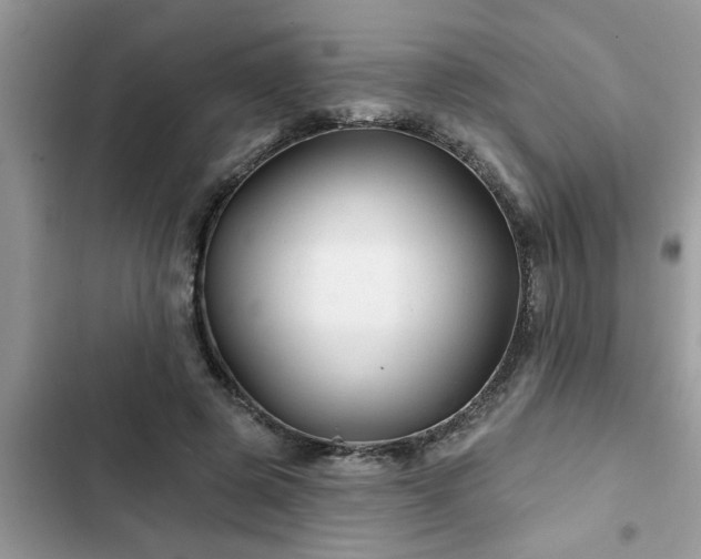X0000102540545200808151645
