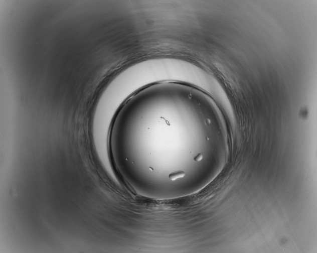 X0000102540547200808151645