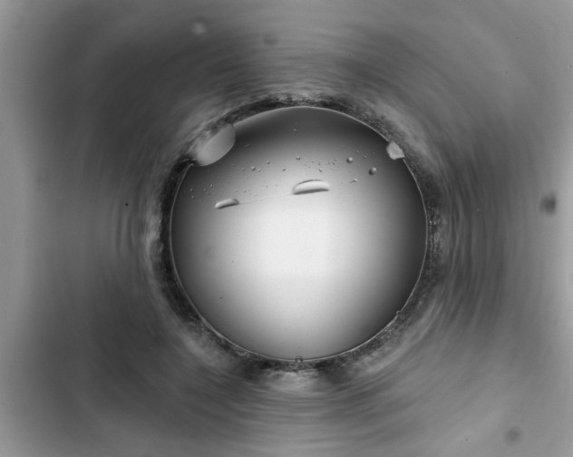 X0000102540548200808151645