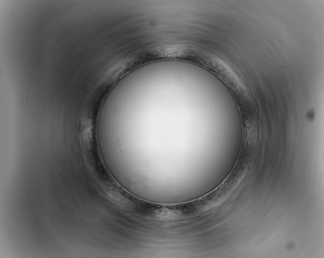 X0000102540549200808151645