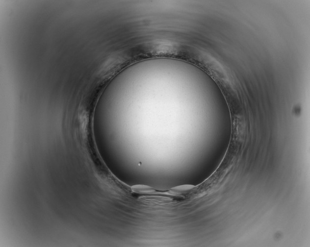 X0000102540550200808151645