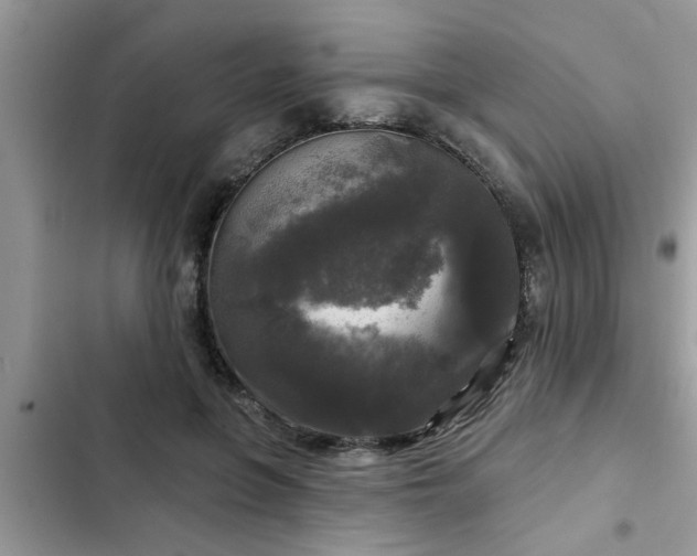 X0000102540551200808151645