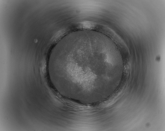 X0000102540552200808151645