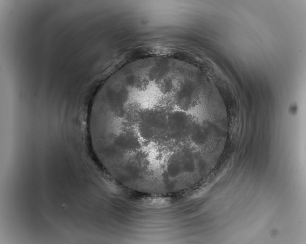 X0000102540553200808151645