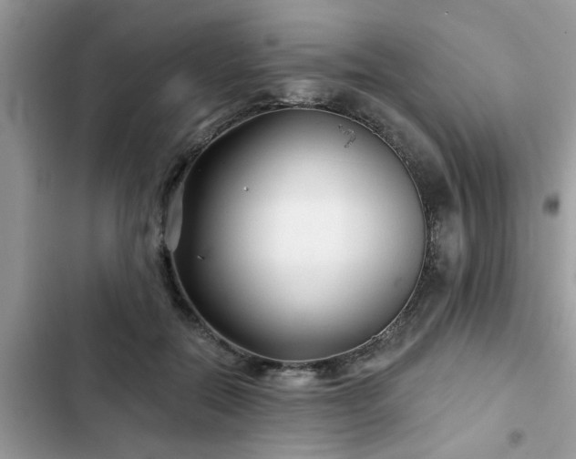 X0000102540554200808151645