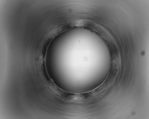 X0000102540555200808151645