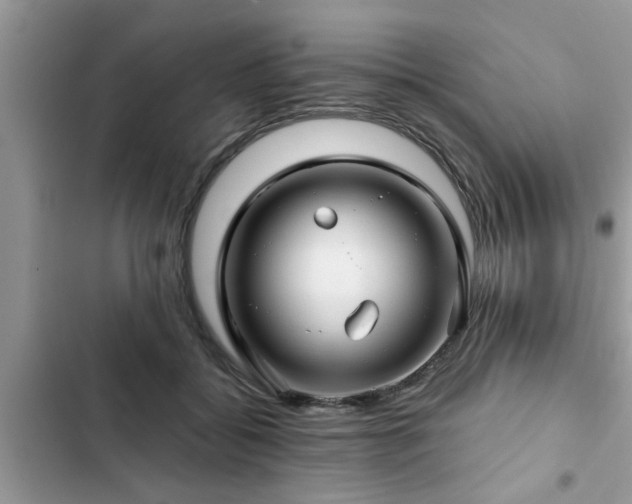 X0000102540556200808151645