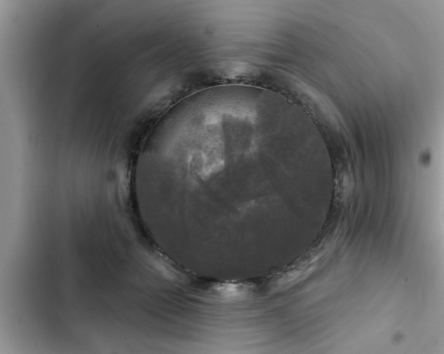 X0000102540558200808151645