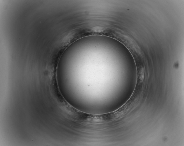 X0000102540559200808151645