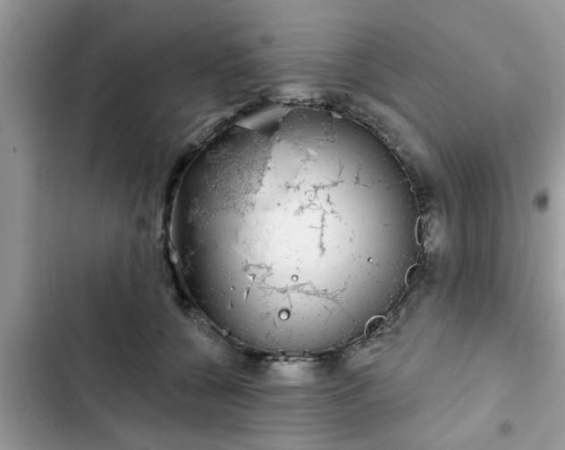 X0000102540560200808151645
