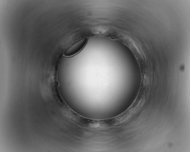 X0000102540561200808151645