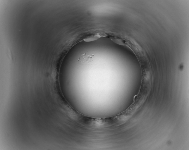 X0000102540565200808151645