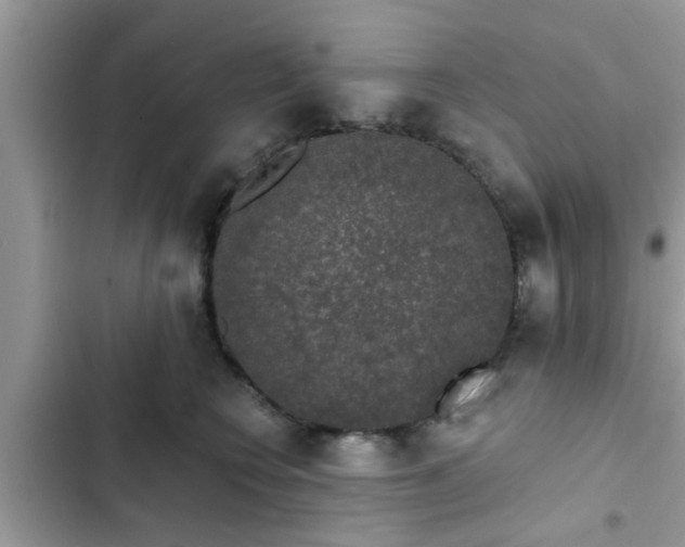 X0000102540566200808151645
