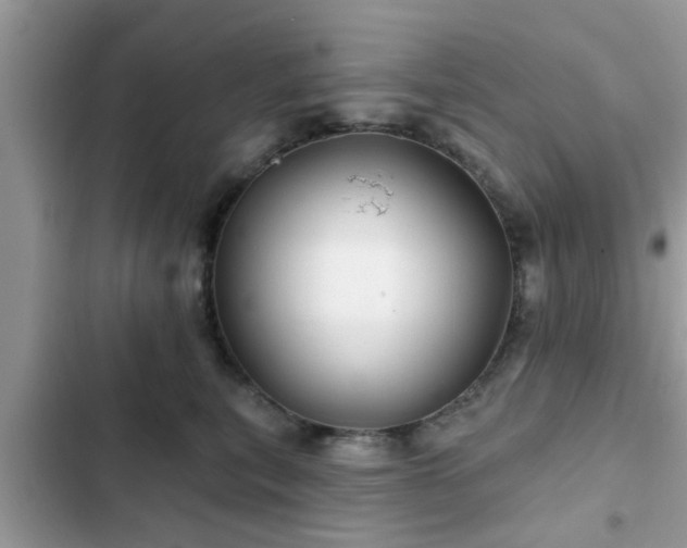 X0000102540567200808151645