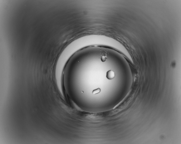 X0000102540568200808151645
