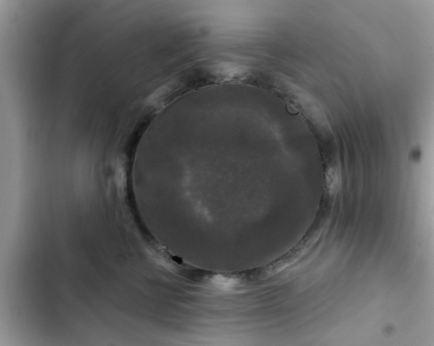 X0000102540570200808151645