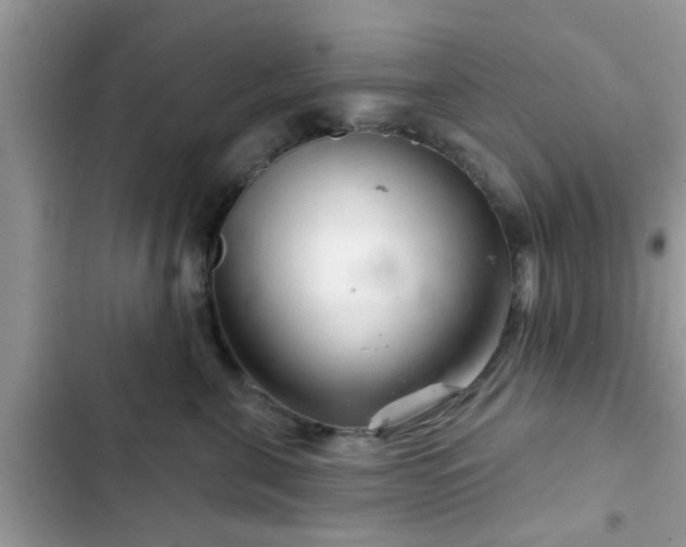 X0000102540571200808151645