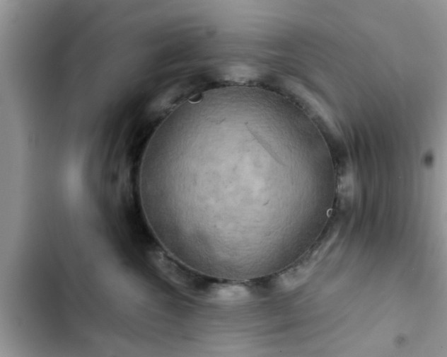 X0000102540572200808151645