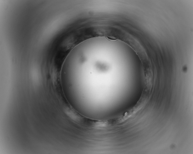 X0000102540574200808151645