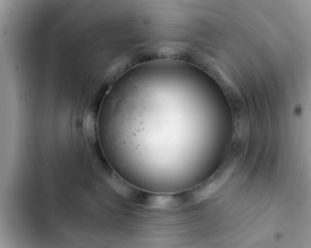 X0000102540575200808151645