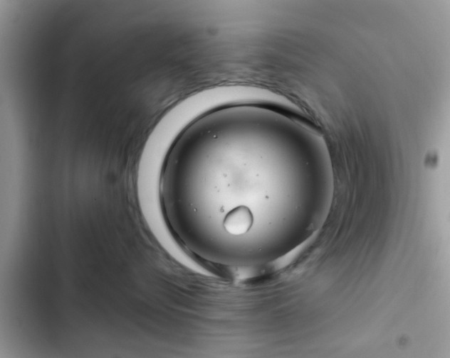 X0000102540576200808151645