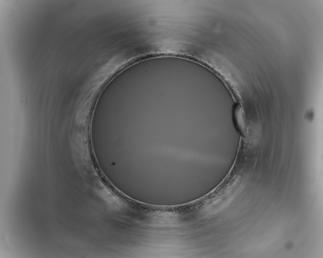 X0000102540577200808151645