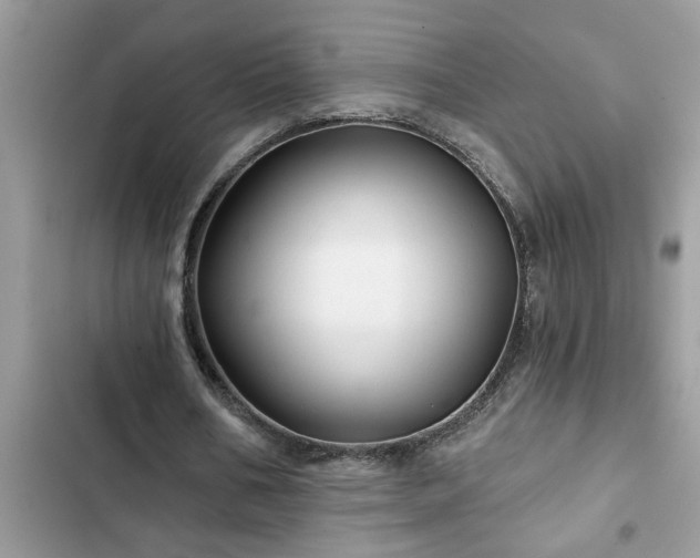 X0000102540578200808151645