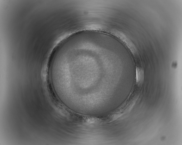 X0000102540579200808151645