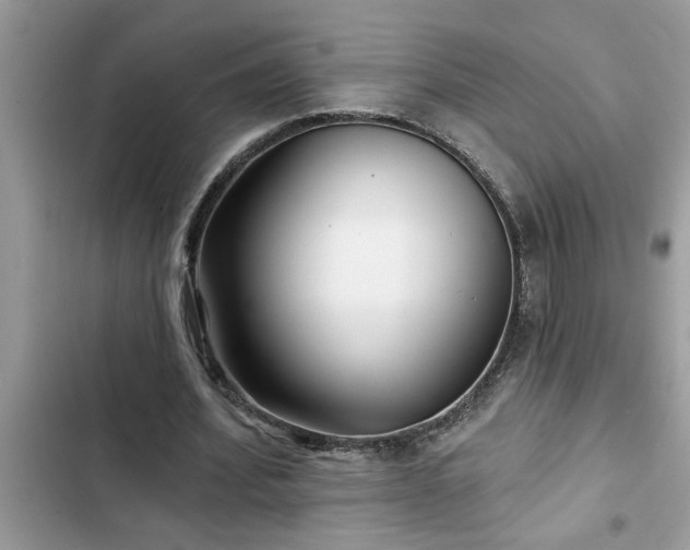 X0000102540580200808151645