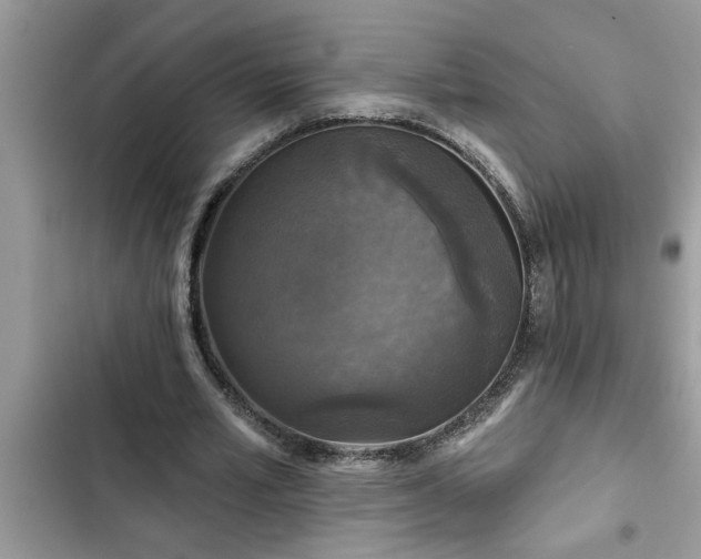X0000102540581200808151645