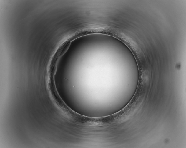 X0000102540582200808151645