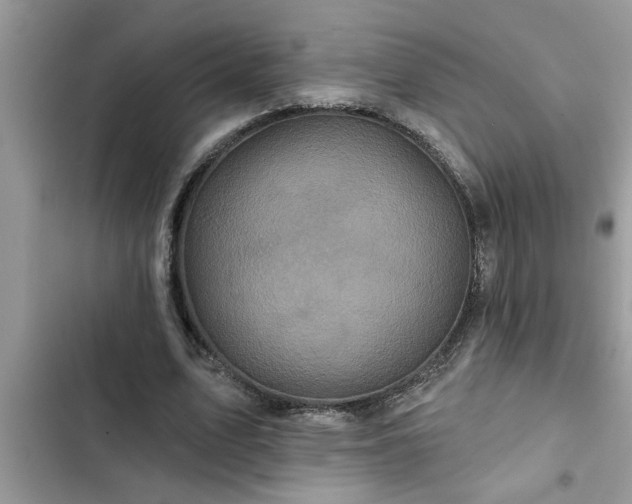 X0000102540583200808151644