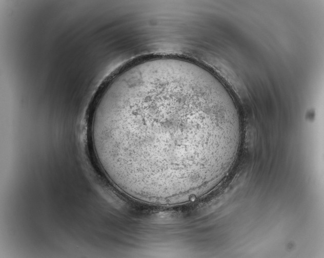 X0000102540584200808151644