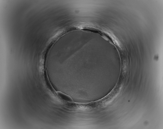 X0000102540585200808151644