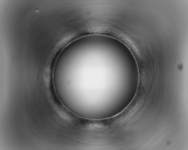 X0000102540586200808151644