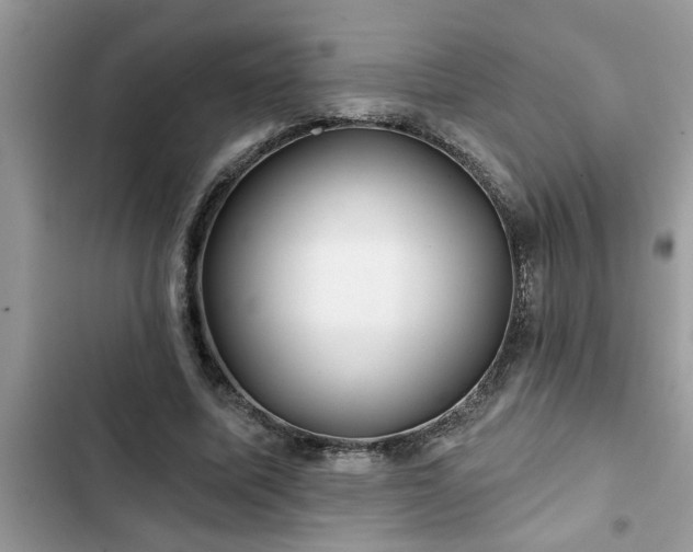 X0000102540587200808151644