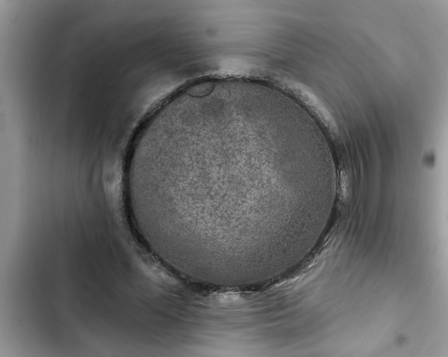 X0000102540588200808151644