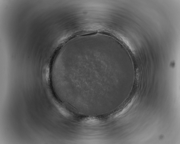 X0000102540589200808151644